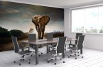 kantoor voorbeeld olifant behang
